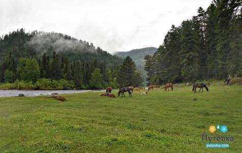 Гостиница Артыбаш, фото - 20