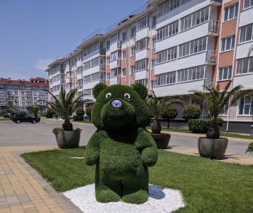 Гостиничный комплекс Русский Дом 17 (Бархатные сезоны, Спортивный), фото - 7