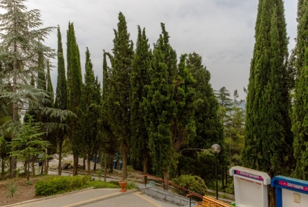 Пансионат Ателика Горизонт Алушта, фото - 5